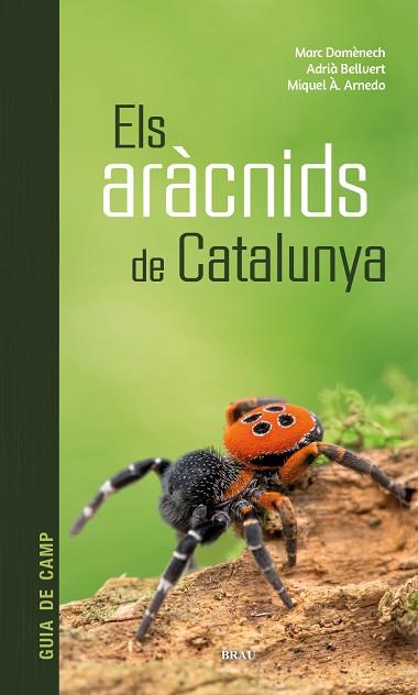 ARÀCNIDS DE CATALUNYA, ELS | 9788418096686 | DOMÈNECH ANDREU, MARC/BELLVERT BANTÍ, ADRIÀ/ARNEDO LOMBARTE, MIQUEL ÀNGEL | Llibreria Huch - Llibreria online de Berga 