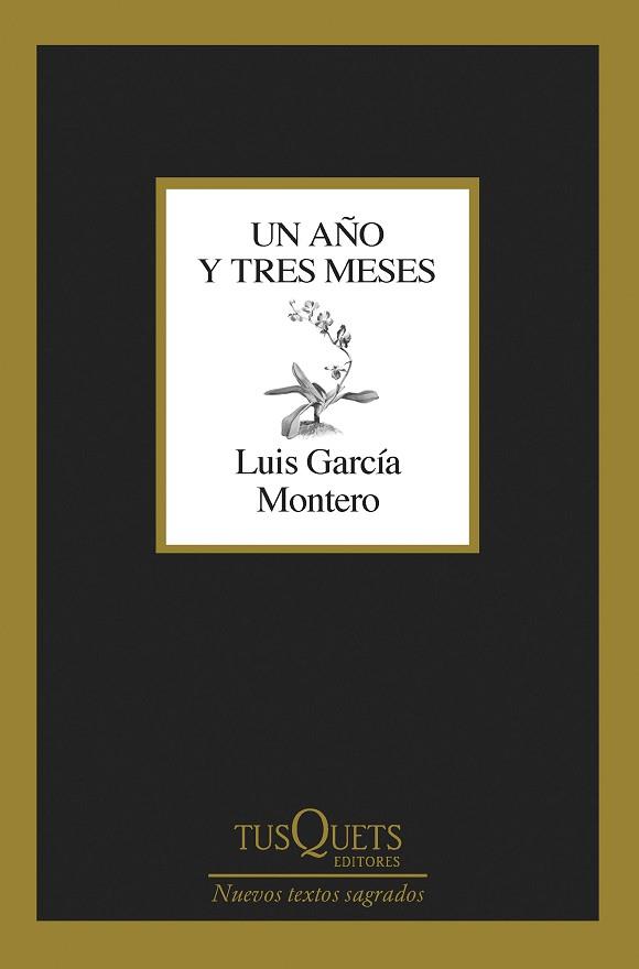 UN AÑO Y TRES MESES | 9788411071475 | GARCÍA MONTERO, LUIS | Llibreria Huch - Llibreria online de Berga 