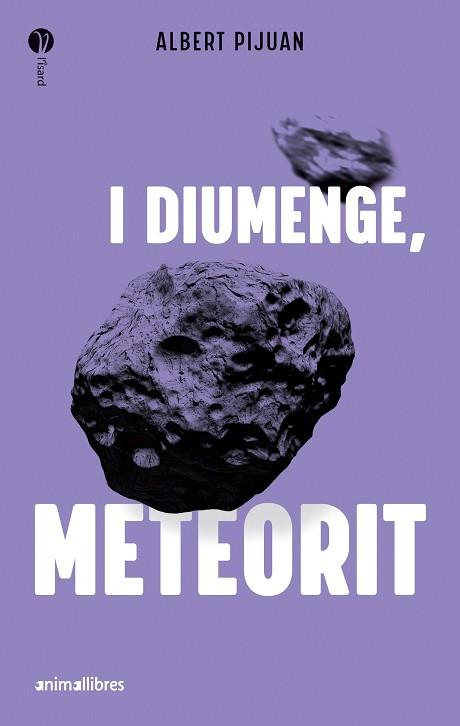 I DIUMENGE, METEORIT | 9788419659415 | ALBERT PIJUAN | Llibreria Huch - Llibreria online de Berga 