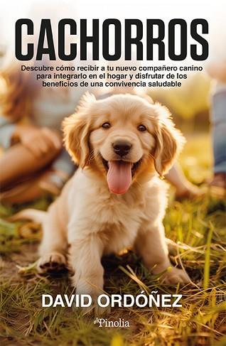 CACHORROS | 9788419878663 | DAVID ORDÓÑEZ PÉREZ | Llibreria Huch - Llibreria online de Berga 