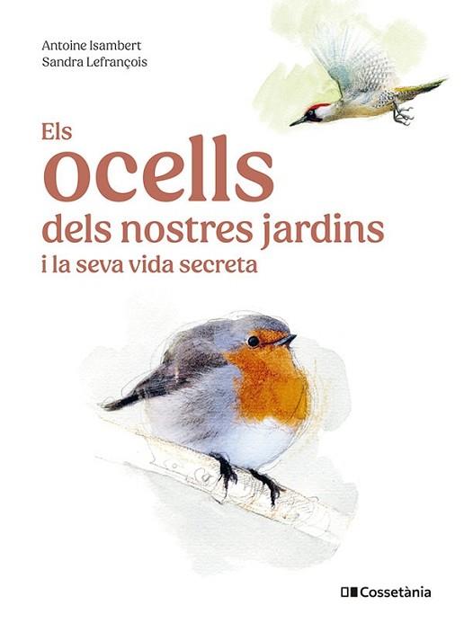 OCELLS DELS NOSTRES JARDINS I LA SEVA VIDA SECRETA, ELS | 9788413563626 | ISAMBERT, ANTOINE | Llibreria Huch - Llibreria online de Berga 