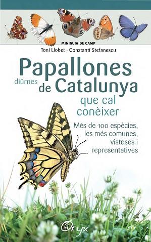 PAPALLONES DIURNES DE CATALUNYA | 9788490346754 | LLOBET FRANÇOIS, TONI/STEFANESCU, CONSTANTÍ | Llibreria Huch - Llibreria online de Berga 