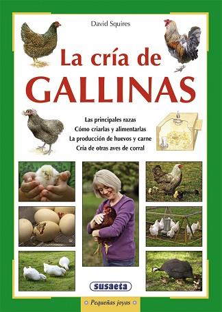 CRIA DE GALLINAS | 9788467725834 | SQUIRES, DAVID | Llibreria Huch - Llibreria online de Berga 