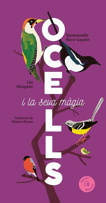 OCELLS | 9788419794376 | KECIR-LEPETIT, EMMANUELLE | Llibreria Huch - Llibreria online de Berga 