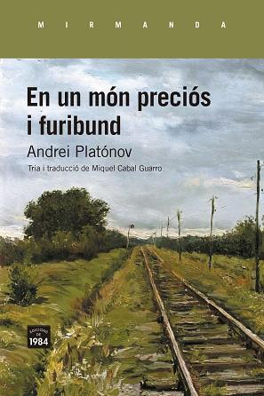 EN UN MÓN PRECIÓS I FURIBUND | 9788418858857 | PLATÓNOV, ANDREI | Llibreria Huch - Llibreria online de Berga 