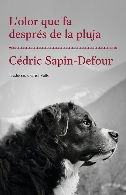 OLOR QUE FA DESPRÉS DE LA PLUJA, L' | 9788417353568 | CÉDRIC SAPIN-DEFOUR | Llibreria Huch - Llibreria online de Berga 