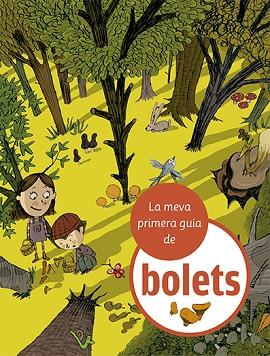 LA MEVA PRIMERA GUIA DE BOLETS | 9788424674366 | JULVE, ÒSCAR | Llibreria Huch - Llibreria online de Berga 