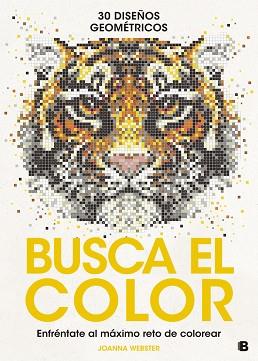 BUSCA EL COLOR | 9788466659307 | WEBSTER, JOANNA | Llibreria Huch - Llibreria online de Berga 