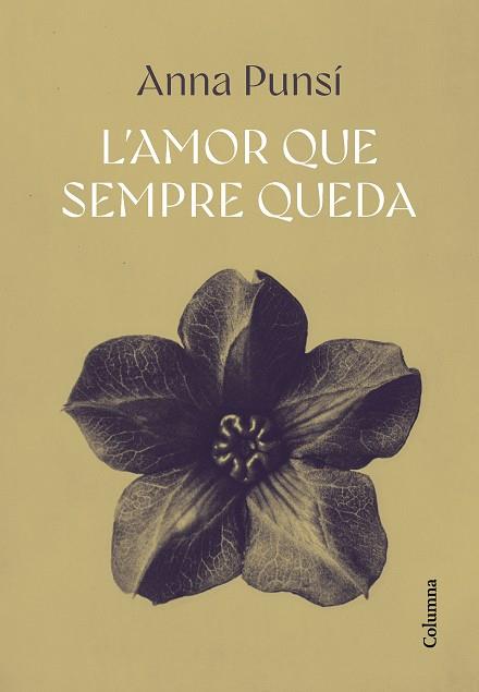 AMOR QUE SEMPRE QUEDA, L' | 9788466432382 | PUNSÍ LLADÓ, ANNA | Llibreria Huch - Llibreria online de Berga 