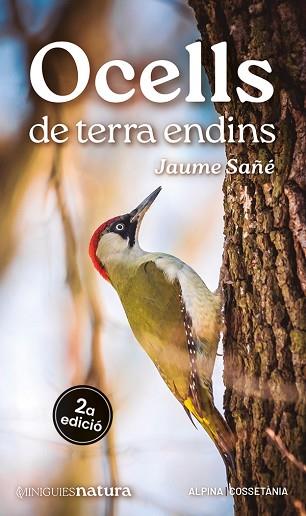 OCELLS DE TERRA ENDINS | 9788413563725 | SAÑÉ, JAUME | Llibreria Huch - Llibreria online de Berga 