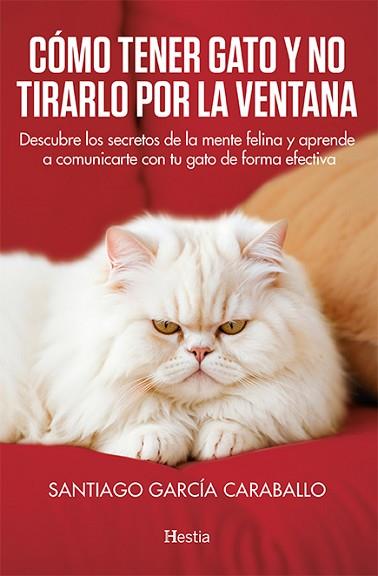 CÓMO TENER GATO Y NO TIRARLO POR LA VENTANA | 9788412864748 | GARCÍA CARABALLO, SANTIAGO | Llibreria Huch - Llibreria online de Berga 