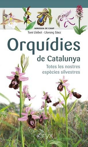 ORQUÍDIES DE CATALUNYA | 9788413560403 | SÀEZ GOÑALONS, LLORENÇ/LLOBET FRANÇOIS, TONI | Llibreria Huch - Llibreria online de Berga 