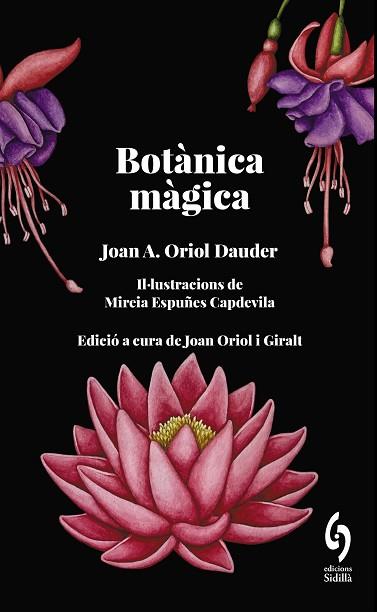 BOTÀNICA MÀGICA | 9788412730876 | ORIOL DAUDER, JOAN ANTON | Llibreria Huch - Llibreria online de Berga 