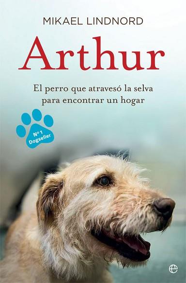 ARTHUR | 9788490609798 | LINDNORD, MIKAEL | Llibreria Huch - Llibreria online de Berga 