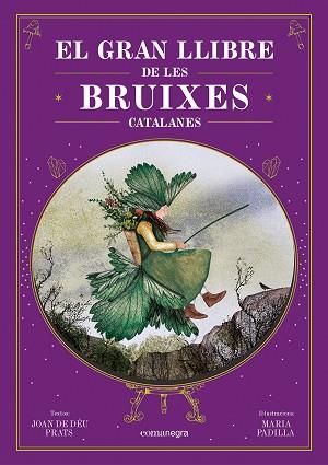 GRAN LLIBRE DE LES BRUIXES CATALANES, EL | 9788410161337 | PRATS, JOAN DE DÉU/PADILLA, MARIA | Llibreria Huch - Llibreria online de Berga 