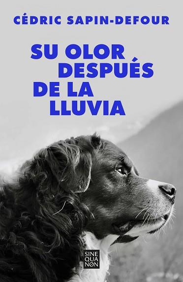 SU OLOR DESPUÉS DE LA LLUVIA | 9788466678766 | SAPIN-DEFOUR, CÉDRIC | Llibreria Huch - Llibreria online de Berga 