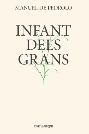 INFANT DELS GRANS | 9788417188337 | PEDROLO I MOLINA, MANUEL DE | Llibreria Huch - Llibreria online de Berga 